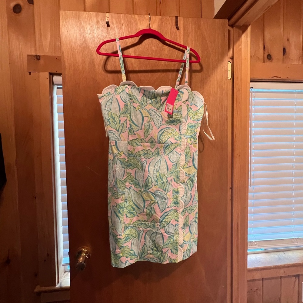 BNWT Lilly Pulitzer Dress Sz 16